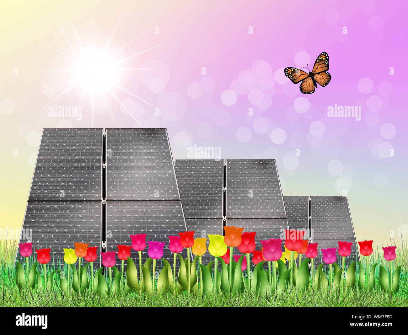 Solar Flowers High Resolution Stock Photography and Images Alamy