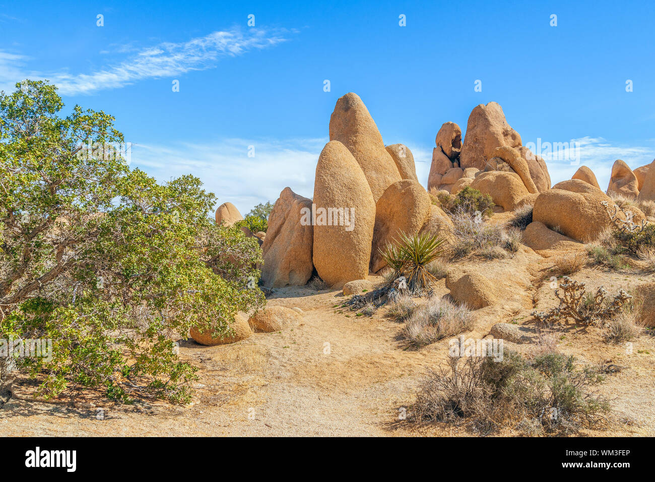 Yellow sandstone formations at the Skull Rock Area. Joshua Tree National Park. California. USA Stock Photo
