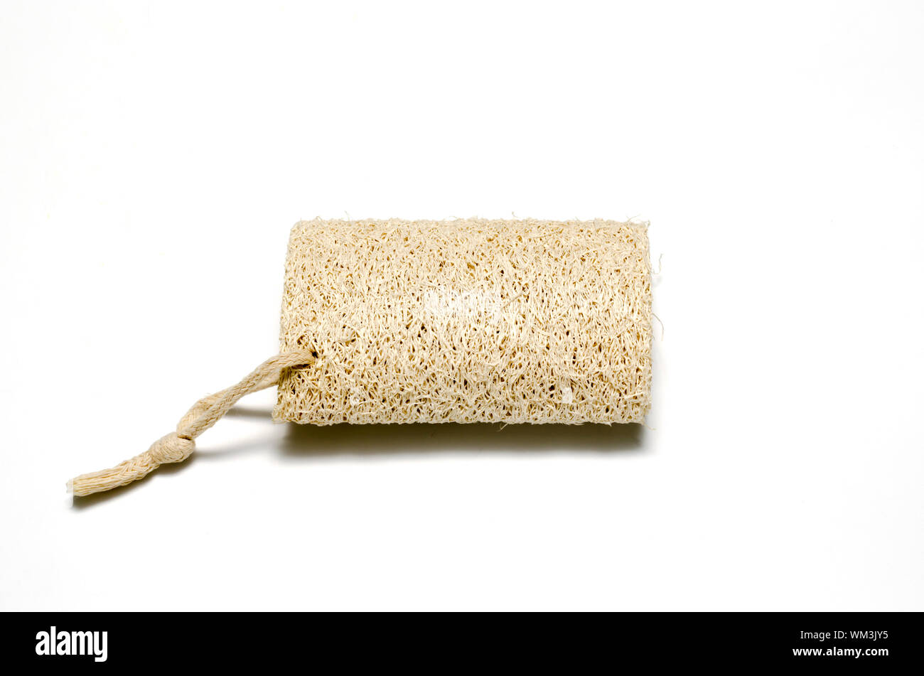 skin Loofah isolated on a white Stock Photo Alamy