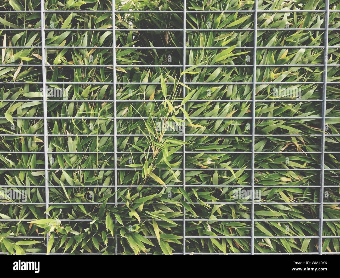 Metal grid hi-res stock photography and images - Alamy
