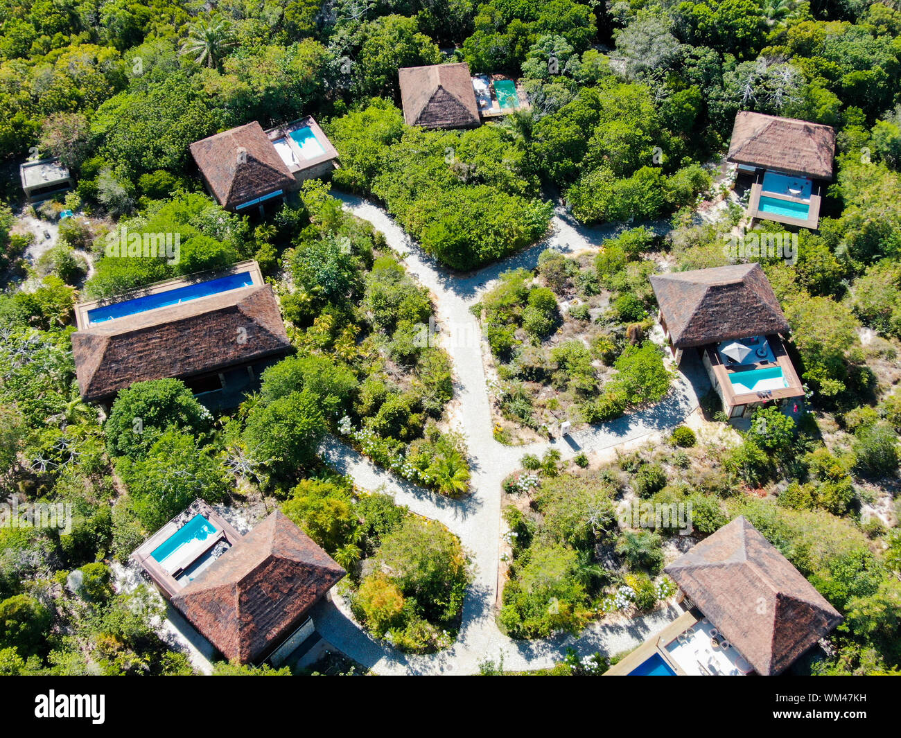Image showcasing Aerial view of luxury villa with swimming pool in tropical forest ...