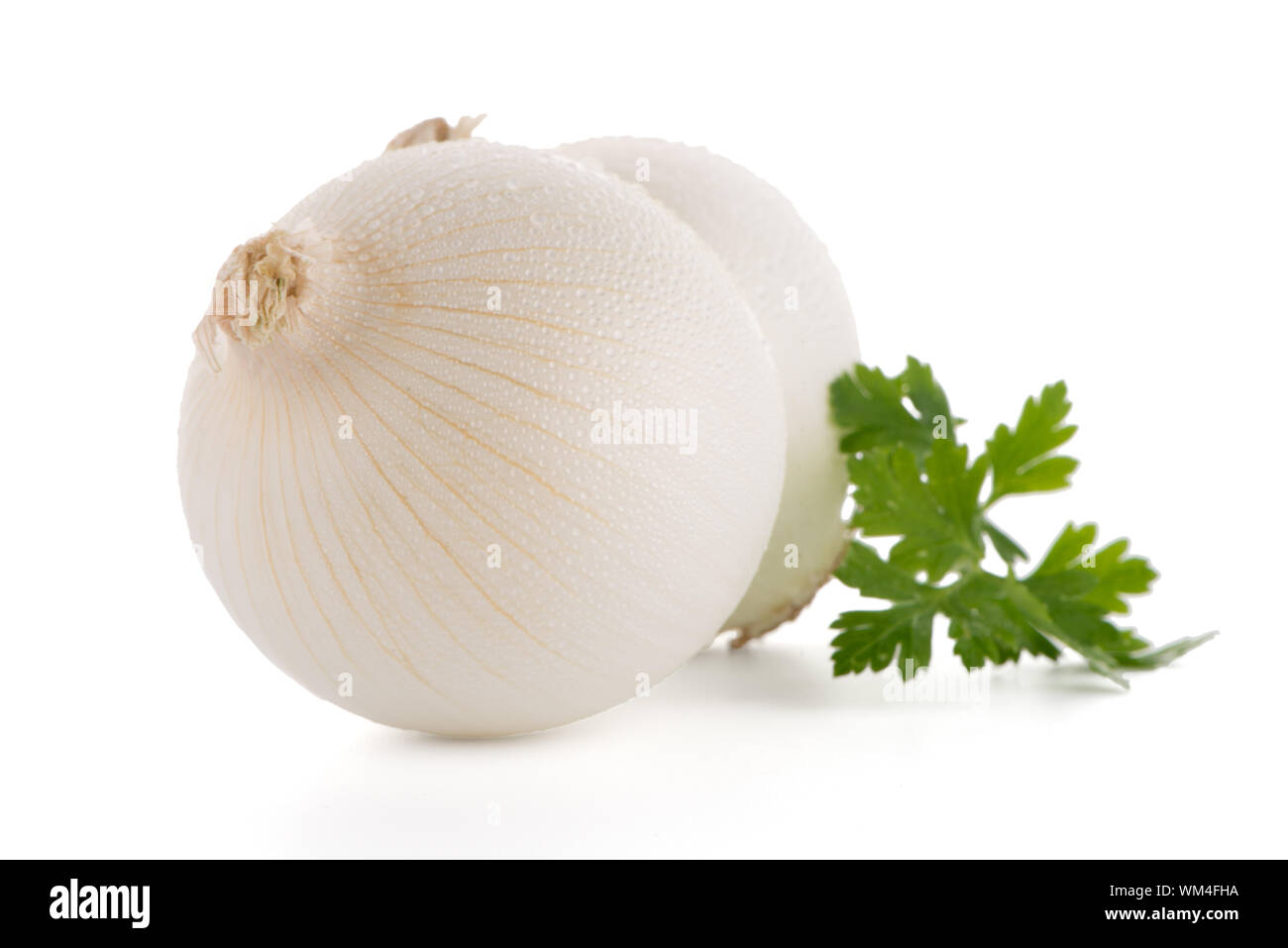 Two onions isolated on white background. Stock Photo