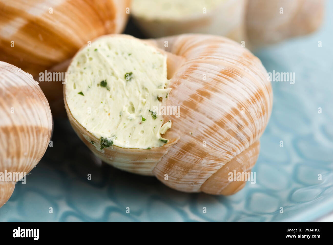 Close up of Escargots with garlic butter Stock Photo Alamy