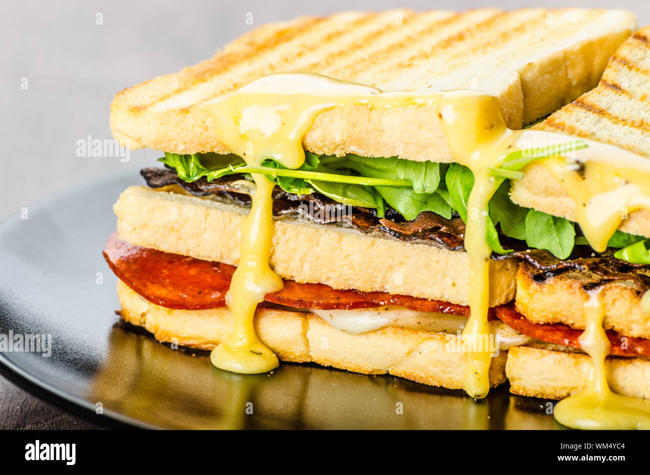 Three floor Panini toast with bacon, arugula, pepperoni salami and