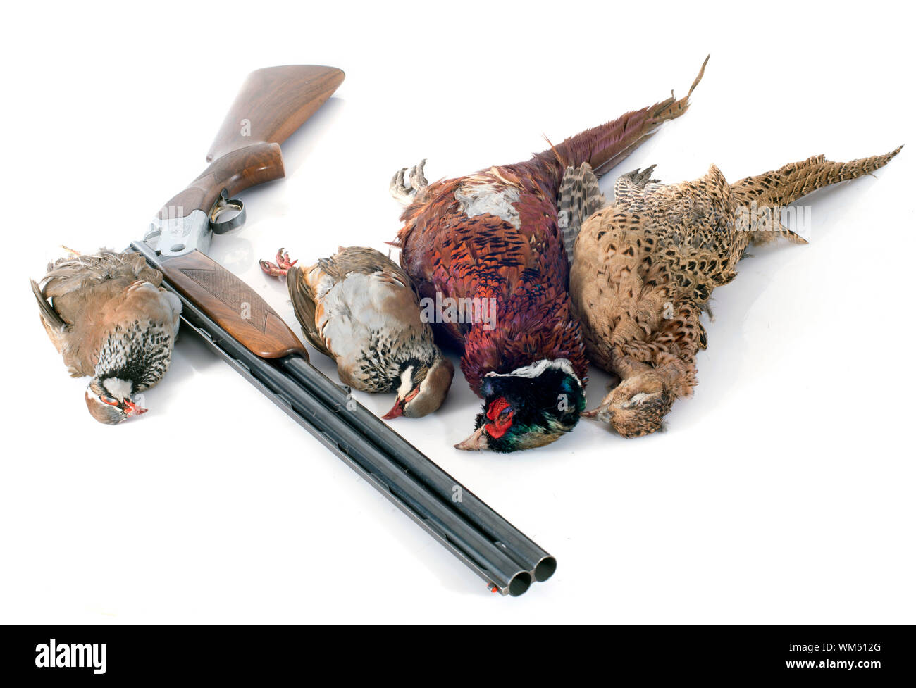 hunting games in front of white background Stock Photo