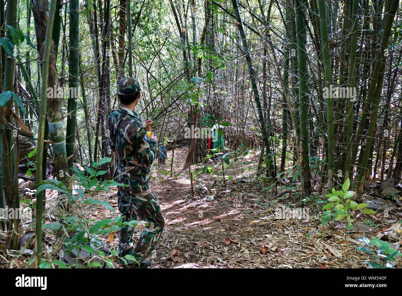 Army forest hi-res stock photography and images - Alamy