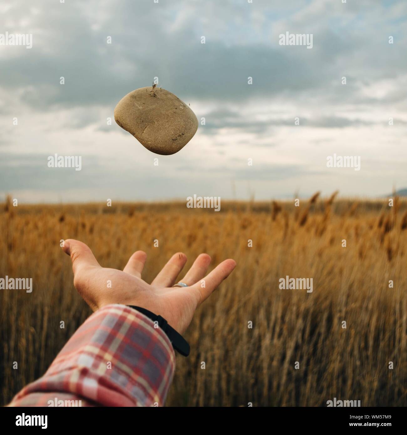 Throwing stone hires stock photography and images Alamy