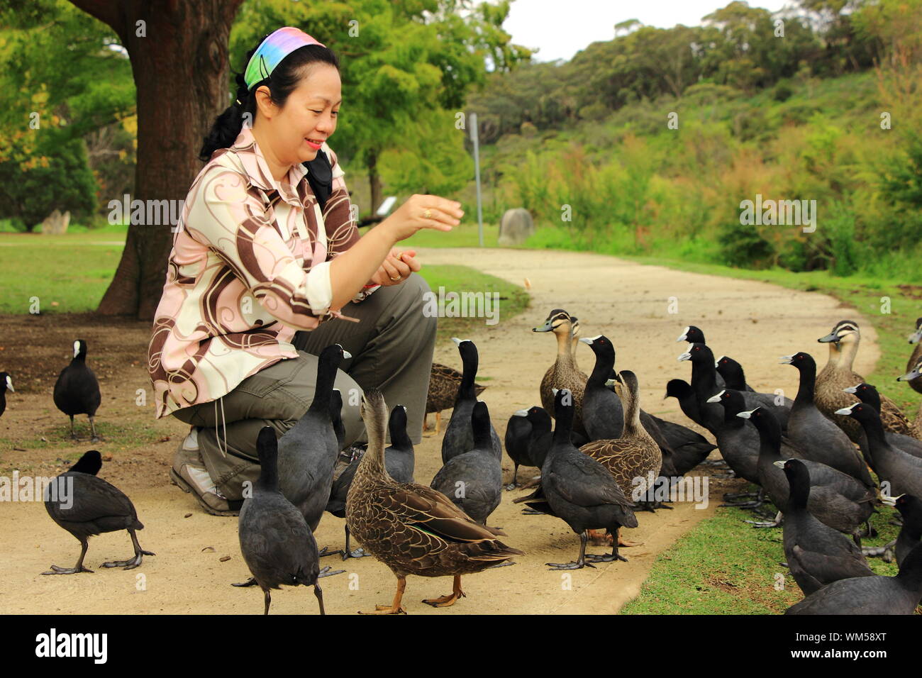 Feeding birds in public park hires stock photography and images Alamy