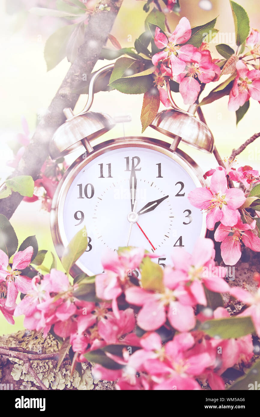Set your clocks back in spring with this whimsical image of a clock