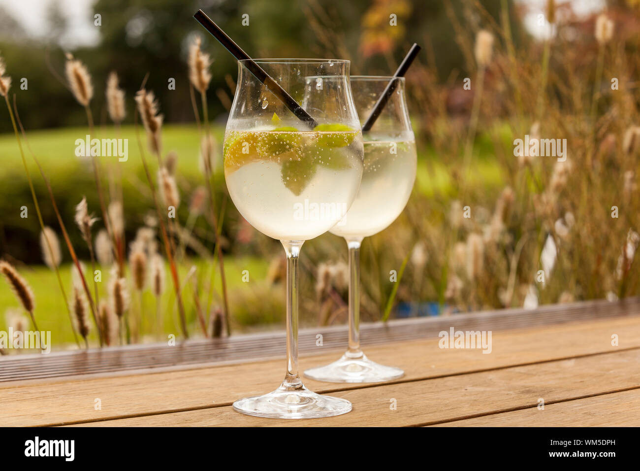 hugo prosecco elderflower soda ice summer drink Stock Photo