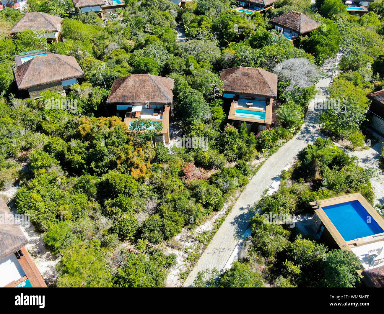 Picture of Aerial view of luxury villa with swimming pool in tropical forest ...