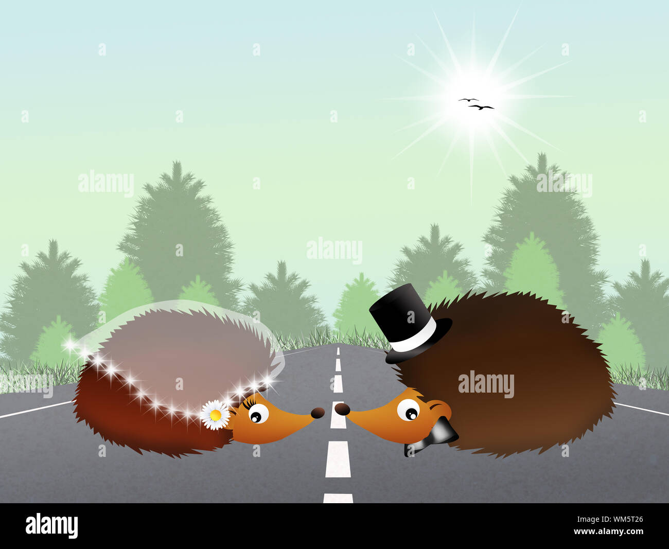 hedgehogs in love Stock Photo Alamy