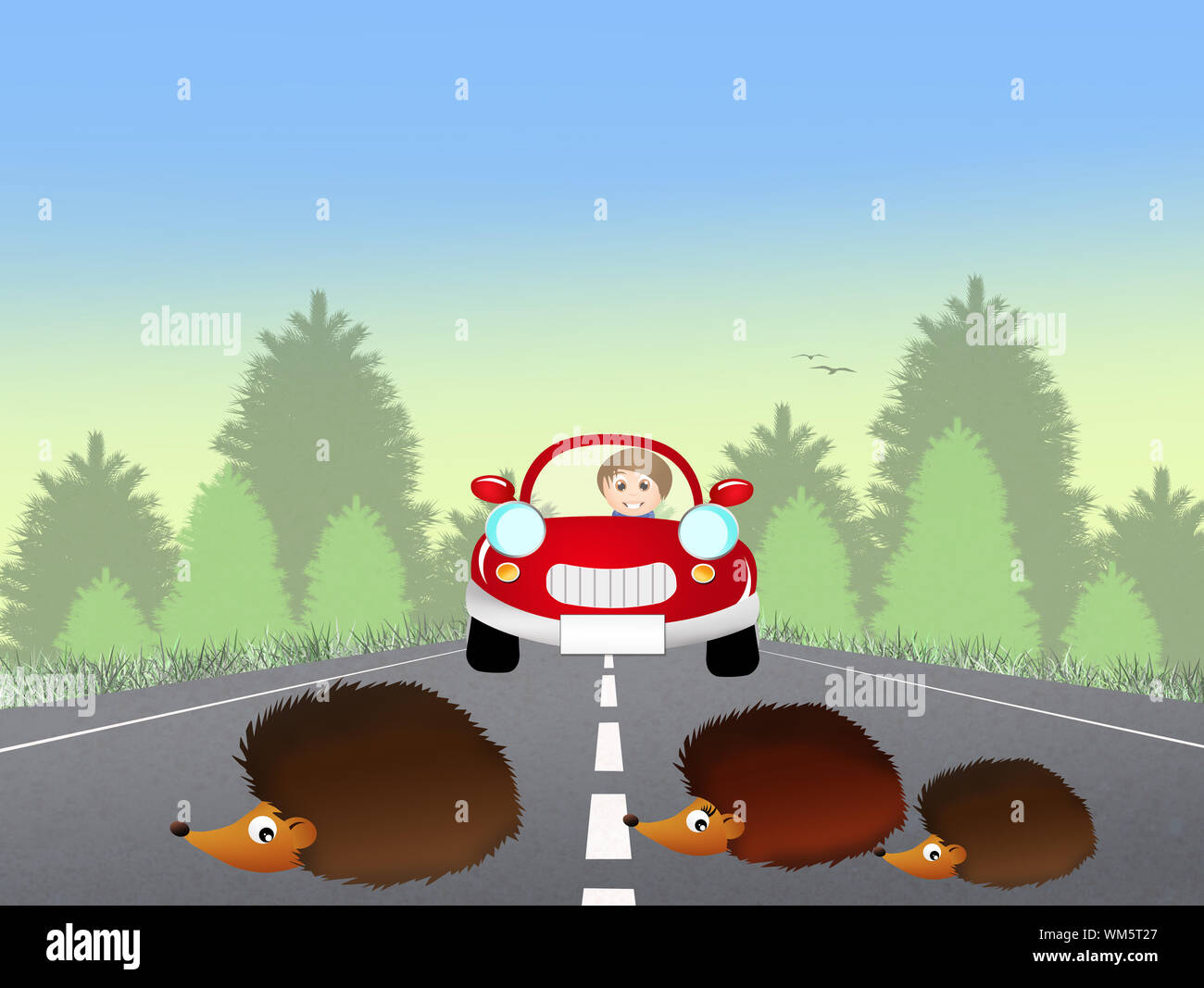 hedgehogs on the road Stock Photo Alamy