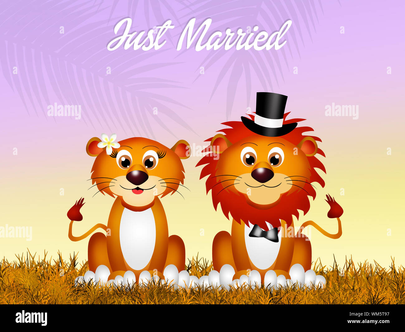 Wedding of lions Stock Photo