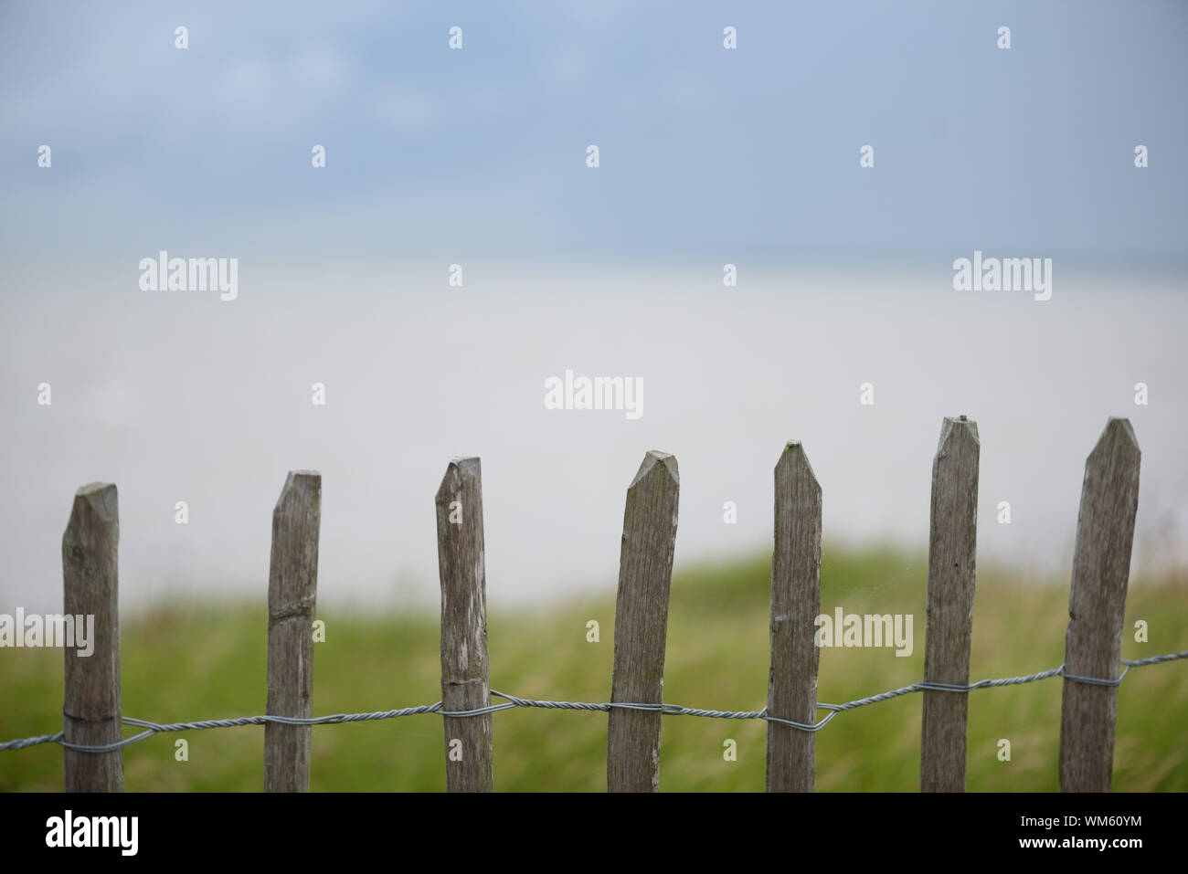 Wooden posts with grass green background and blue sky background and copyspace area for nature wilderness ideas Stock Photo