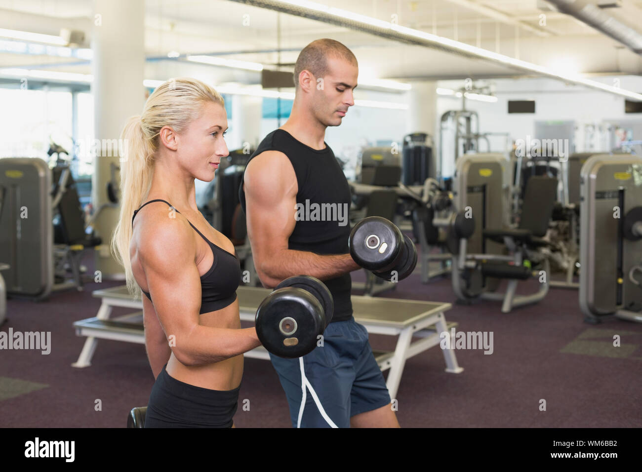 Side view of a couple exercising with dumbbells in the gym Stock Photo ...