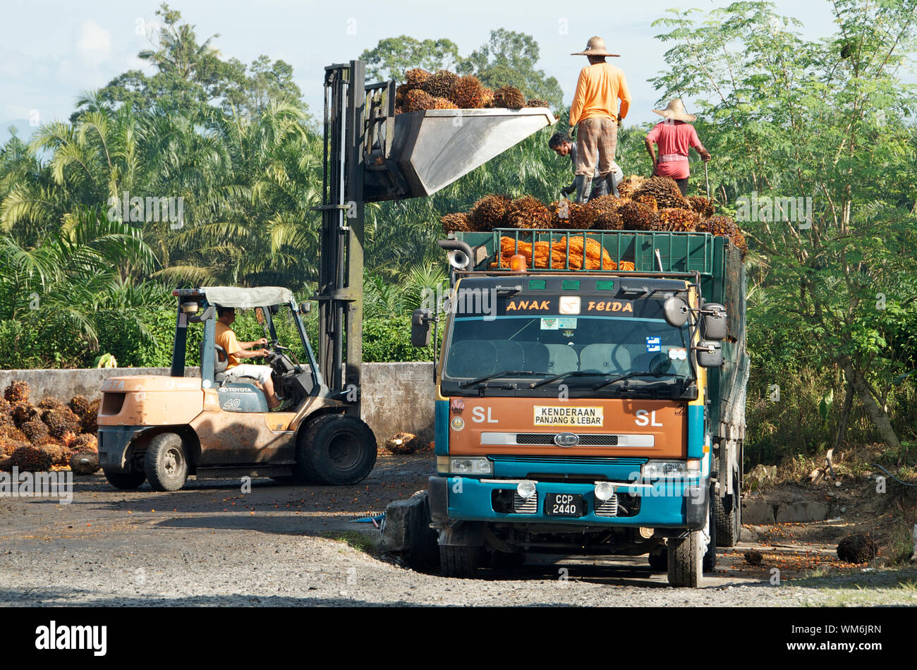 PALM OIL TRANSPORT IN MALAYSIA Stock Photo Alamy