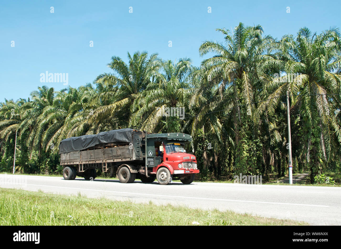 PALM OIL TRANSPORT IN MALAYSIA Stock Photo Alamy