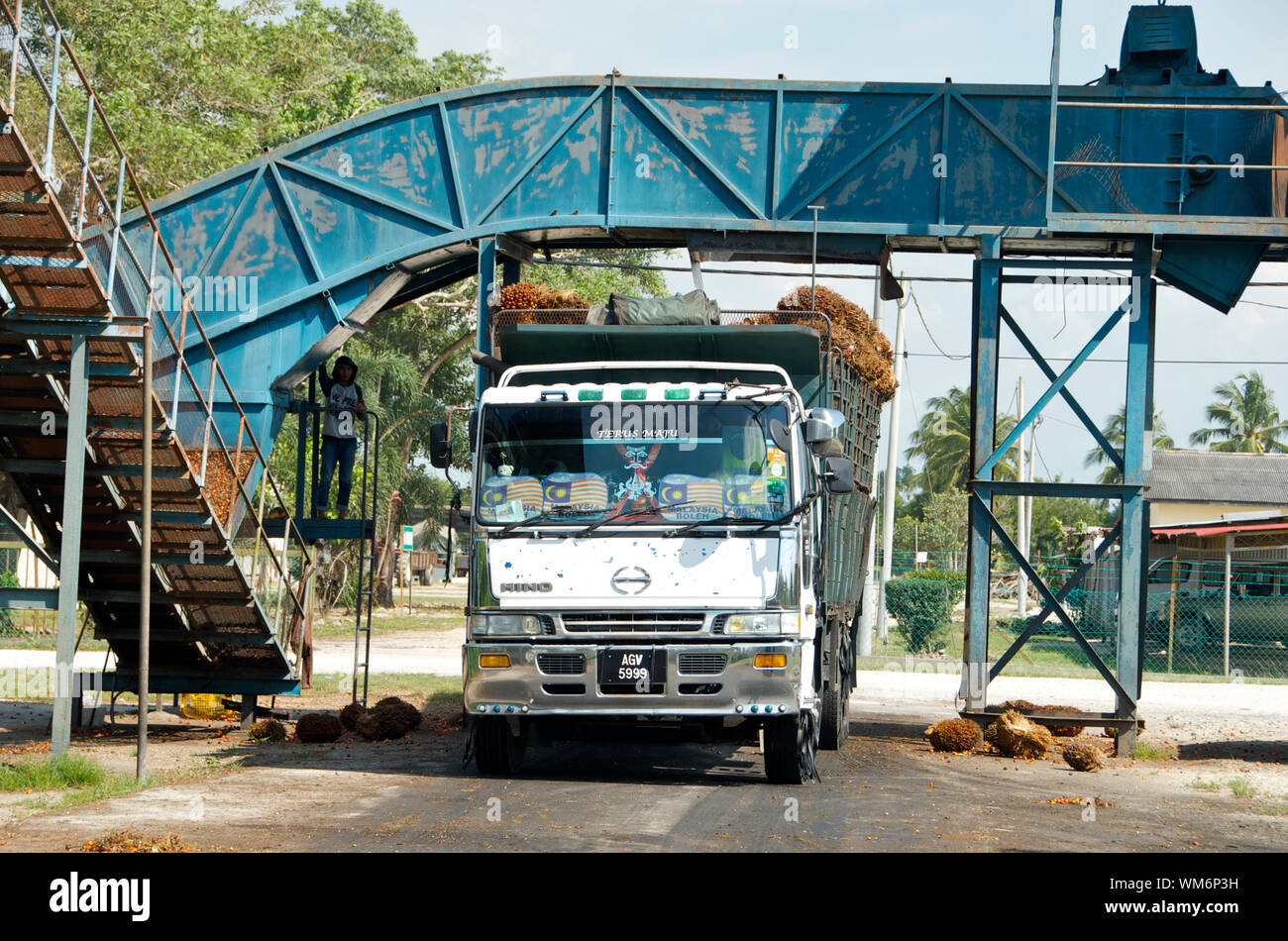 PALM OIL TRANSPORT IN MALAYSIA Stock Photo Alamy