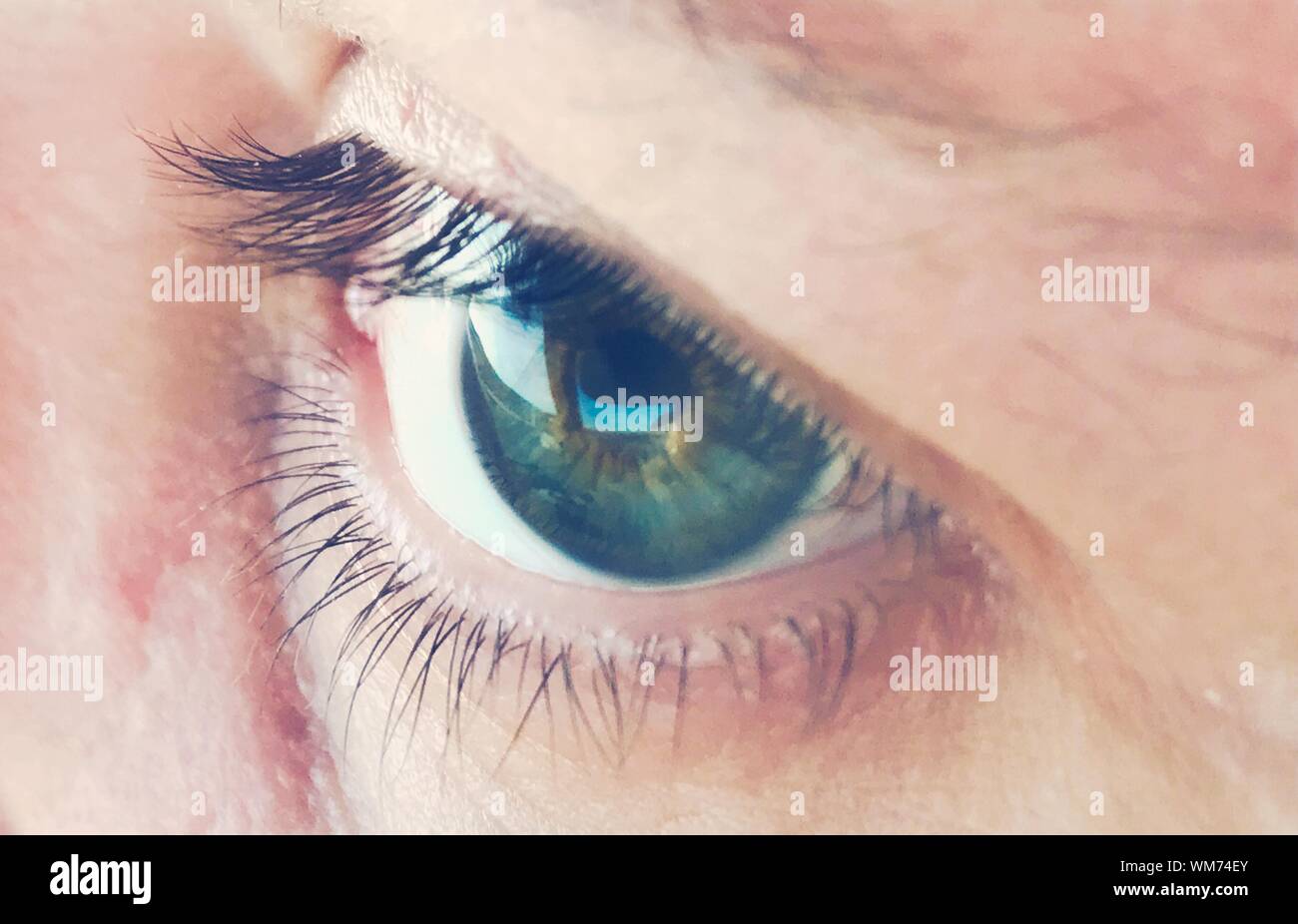 Closeup Of Human Eye Looking Away Stock Photo Alamy