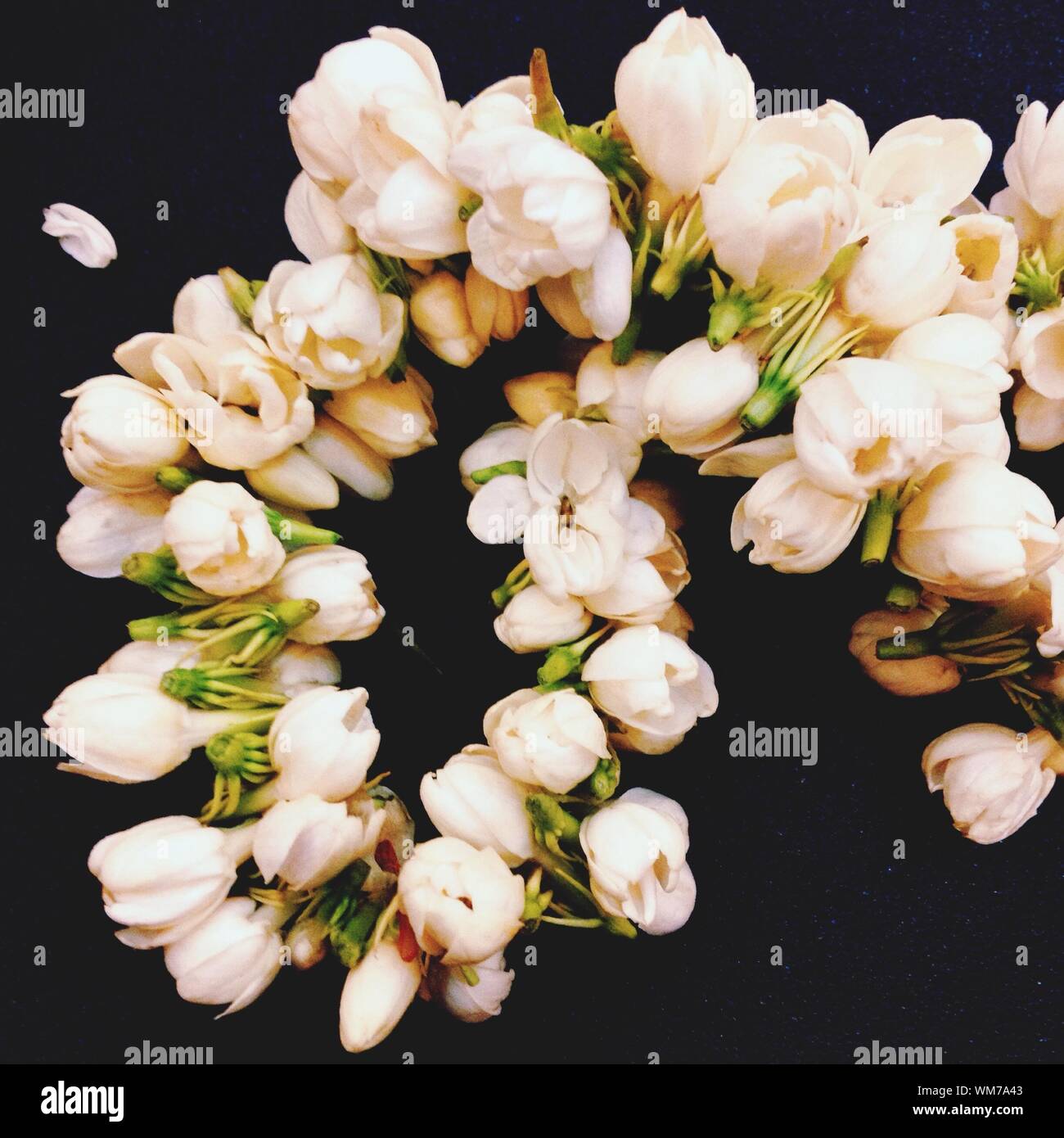 Bunch Of Flowers On Black Background Stock Photo