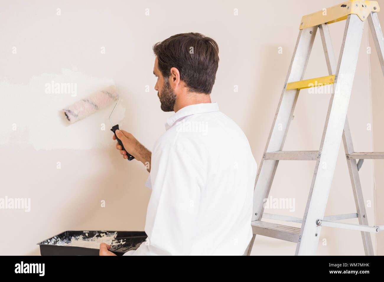 Painter painting the walls white in a new house Stock Photo Alamy