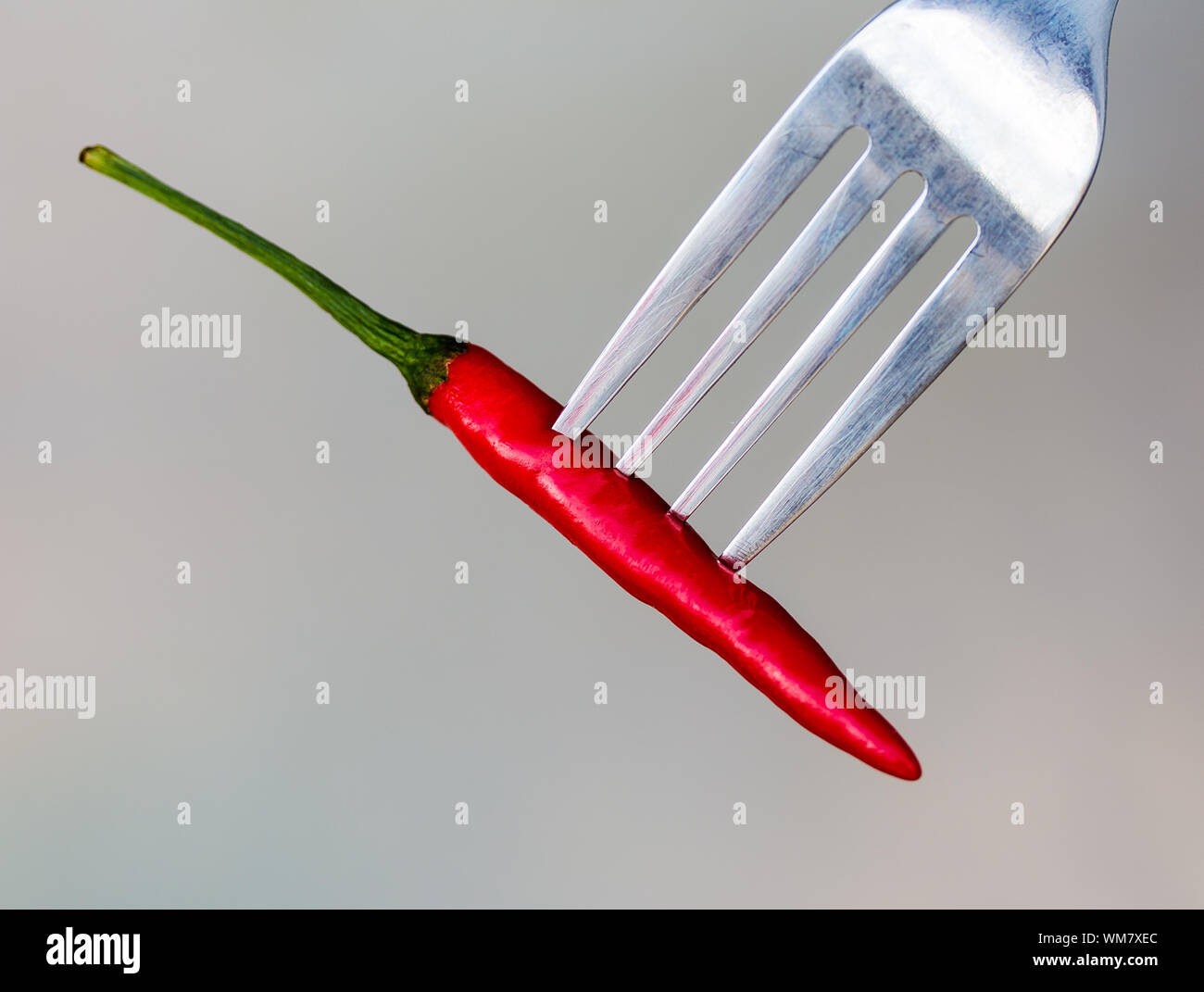 Chilli On Fork Meaning Red Pepper And Peppers Stock Photo Alamy