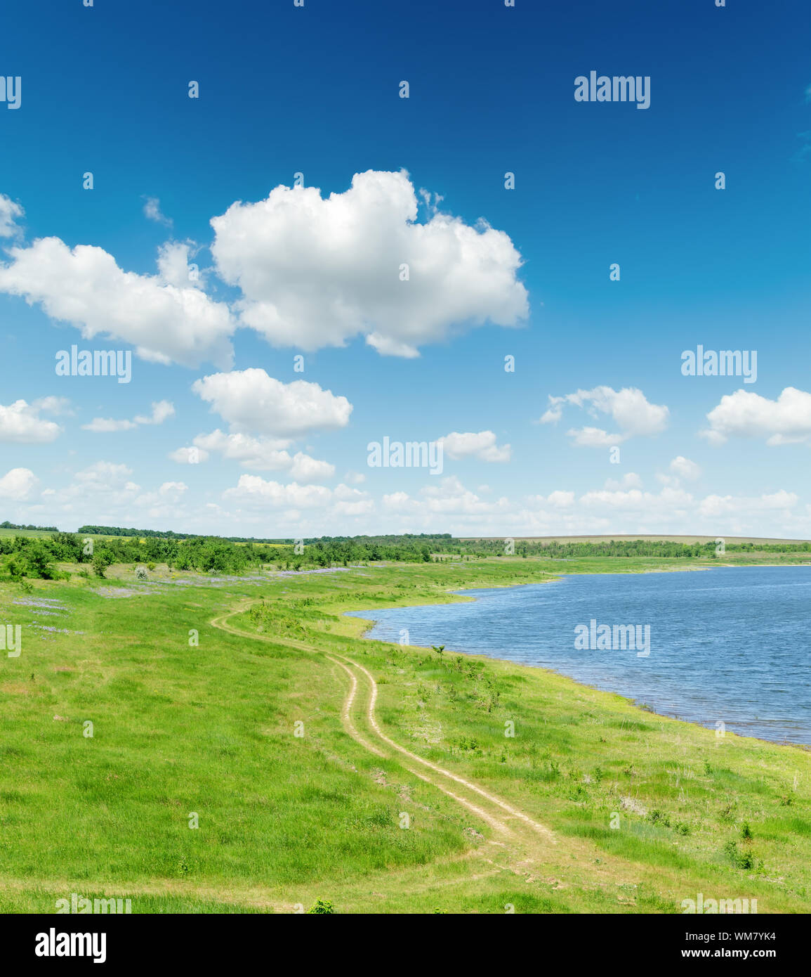 green landscape with road and pond under blue sky with white clouds ...