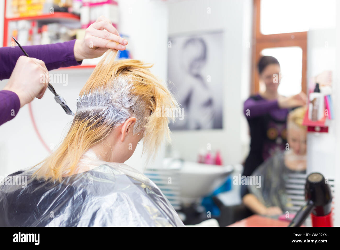 Hairdresser salon. Hair colouring in process. Beautiful young woman dyeing  hairs Stock Photo - Alamy