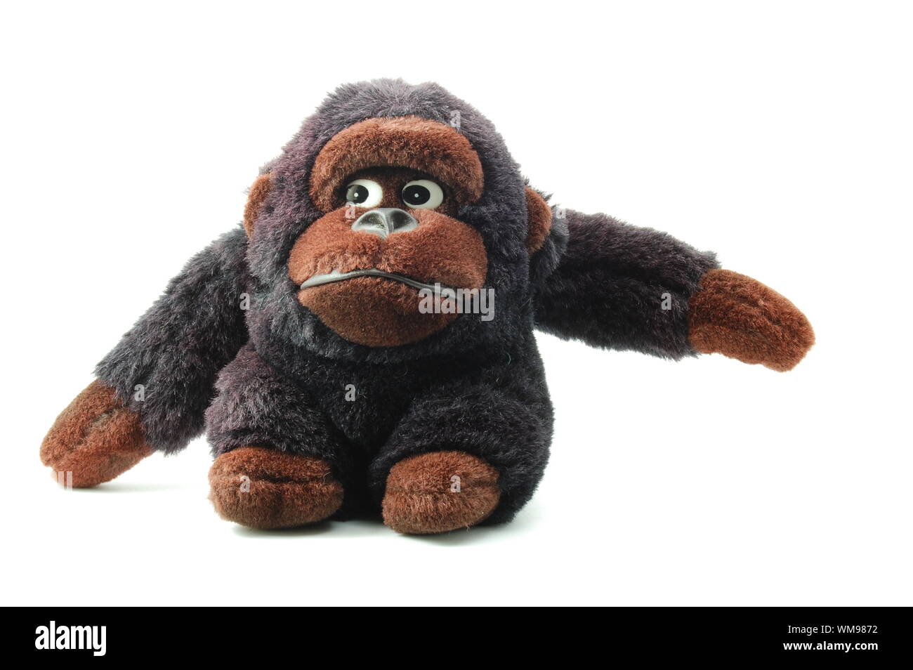 toy teddy bear isolated on white background Stock Photo - Alamy