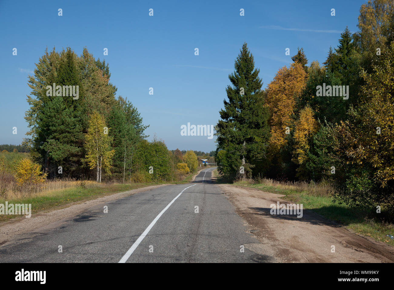 Autumn landscape with country road and forest Stock Photo - Alamy