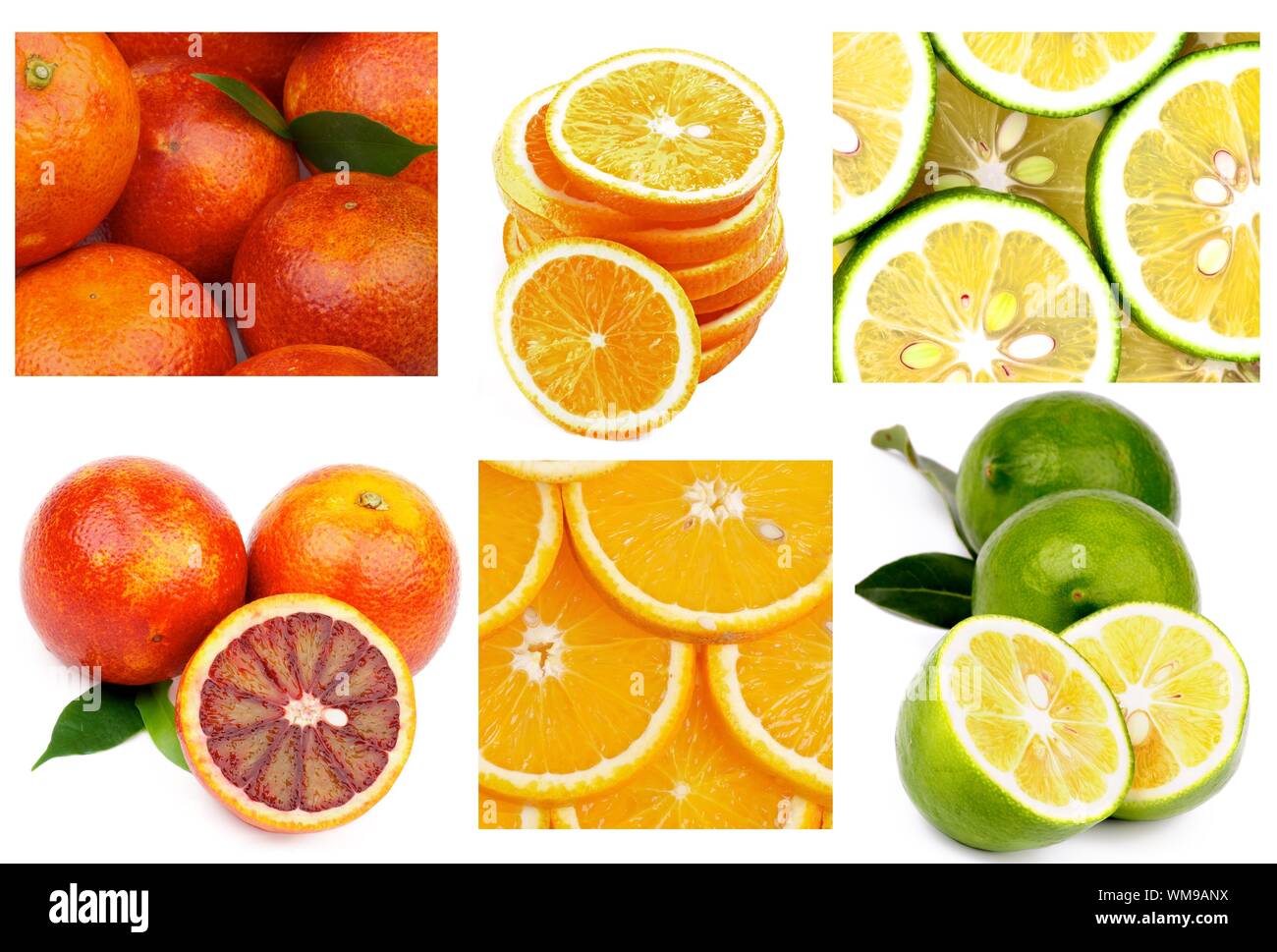 Collection of Citrus Fruits with Blood Oranges, Orange Fruits and Abkhazian Lemons Full Body, Slices and Backgrounds Stock Photo