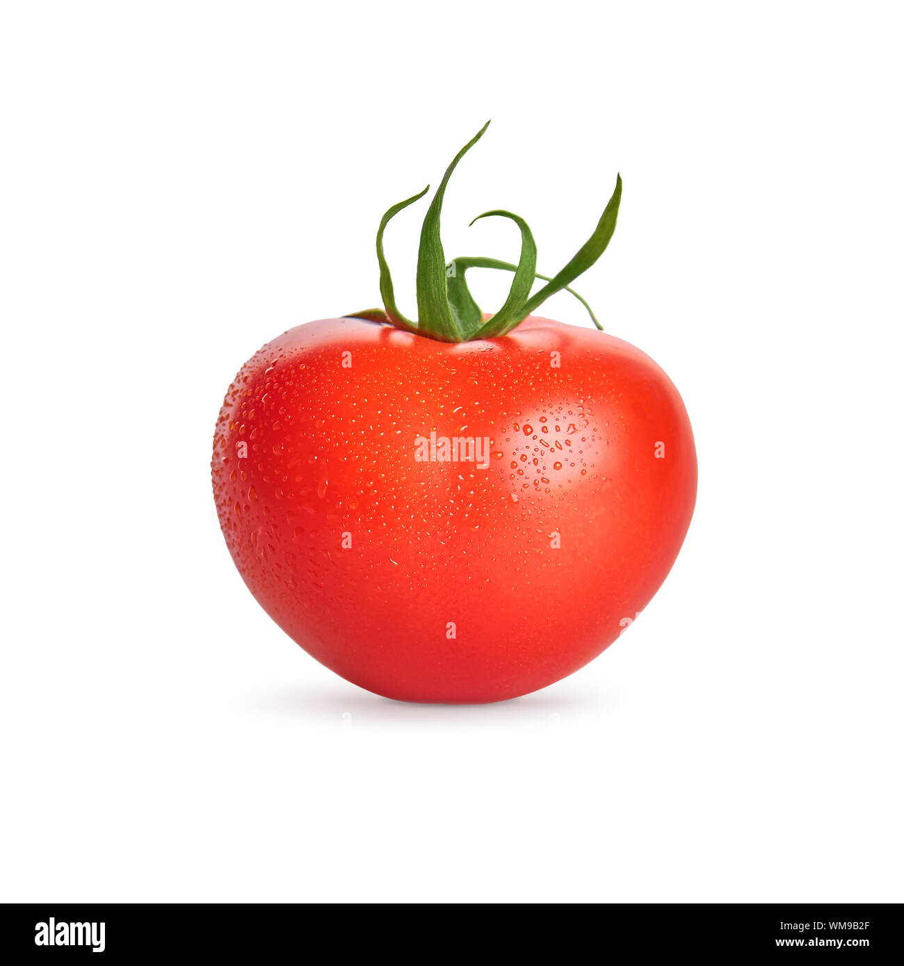 Fresh wet tomato vegetable with water drops isolated on white ...