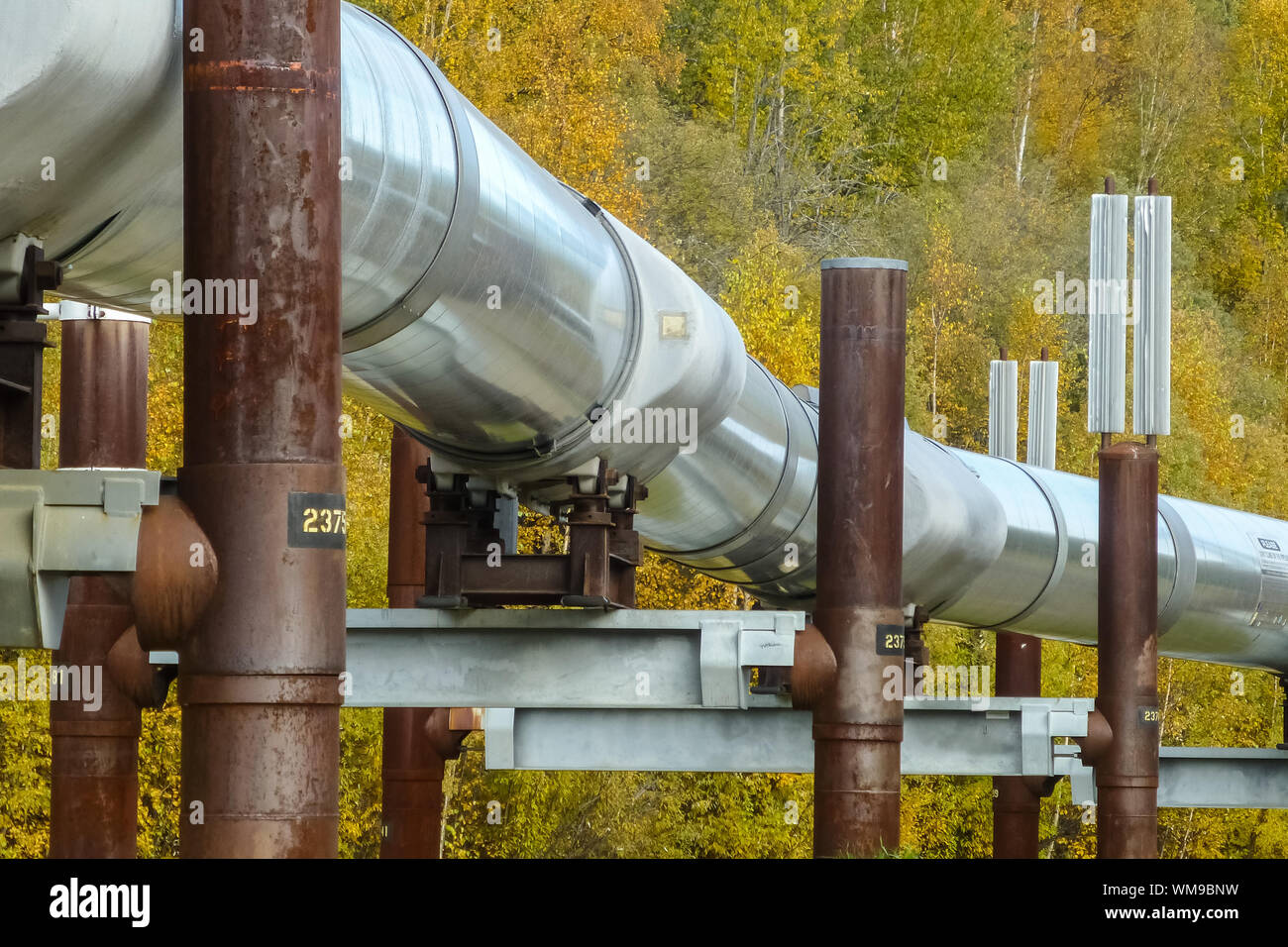 Trans Alaska Pipeline in fall, Steese Highway, Alaska Stock Photo Alamy