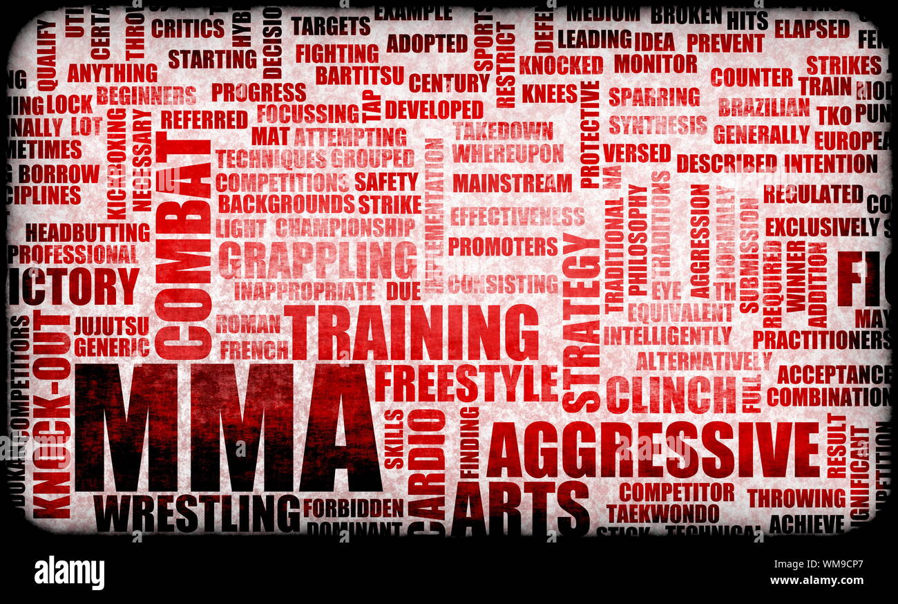 MMA Mixed Martial Arts Fighting System as Sport Stock Photo Alamy