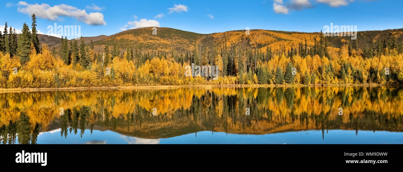 Panoramic view of a clear lake with reflections in fall, Chena River ...