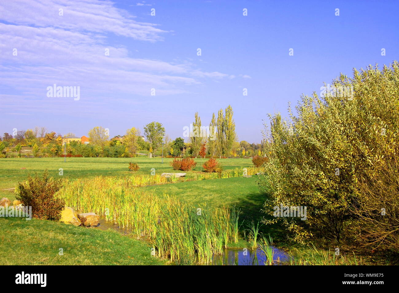 summer in the park with green trees and grass under blue sky Stock ...