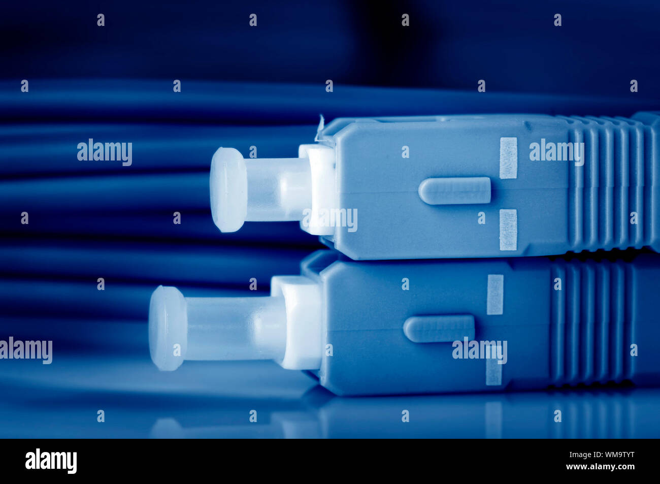 Close up fiber optic cables Stock Photo Alamy