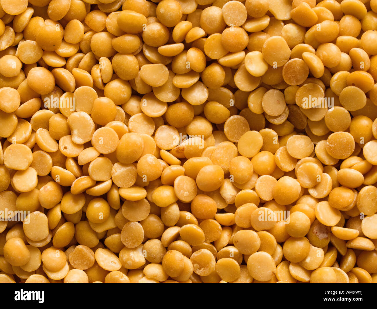 DHAL Bulk Sri Lanka, 59% OFF | brunofuga.adv.br