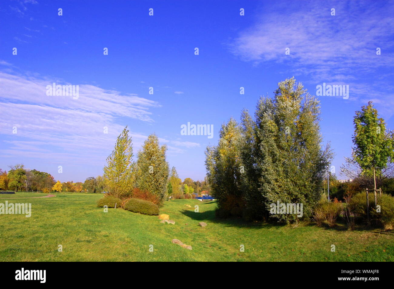 summer in the park with green trees and grass under blue sky Stock ...