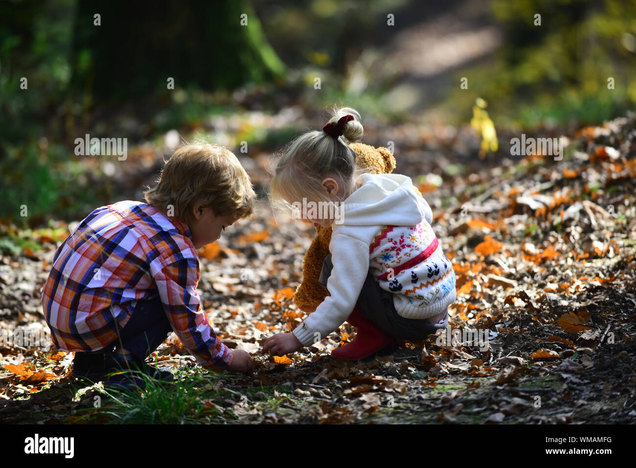 Little boy acorns hi-res stock photography and images - Alamy