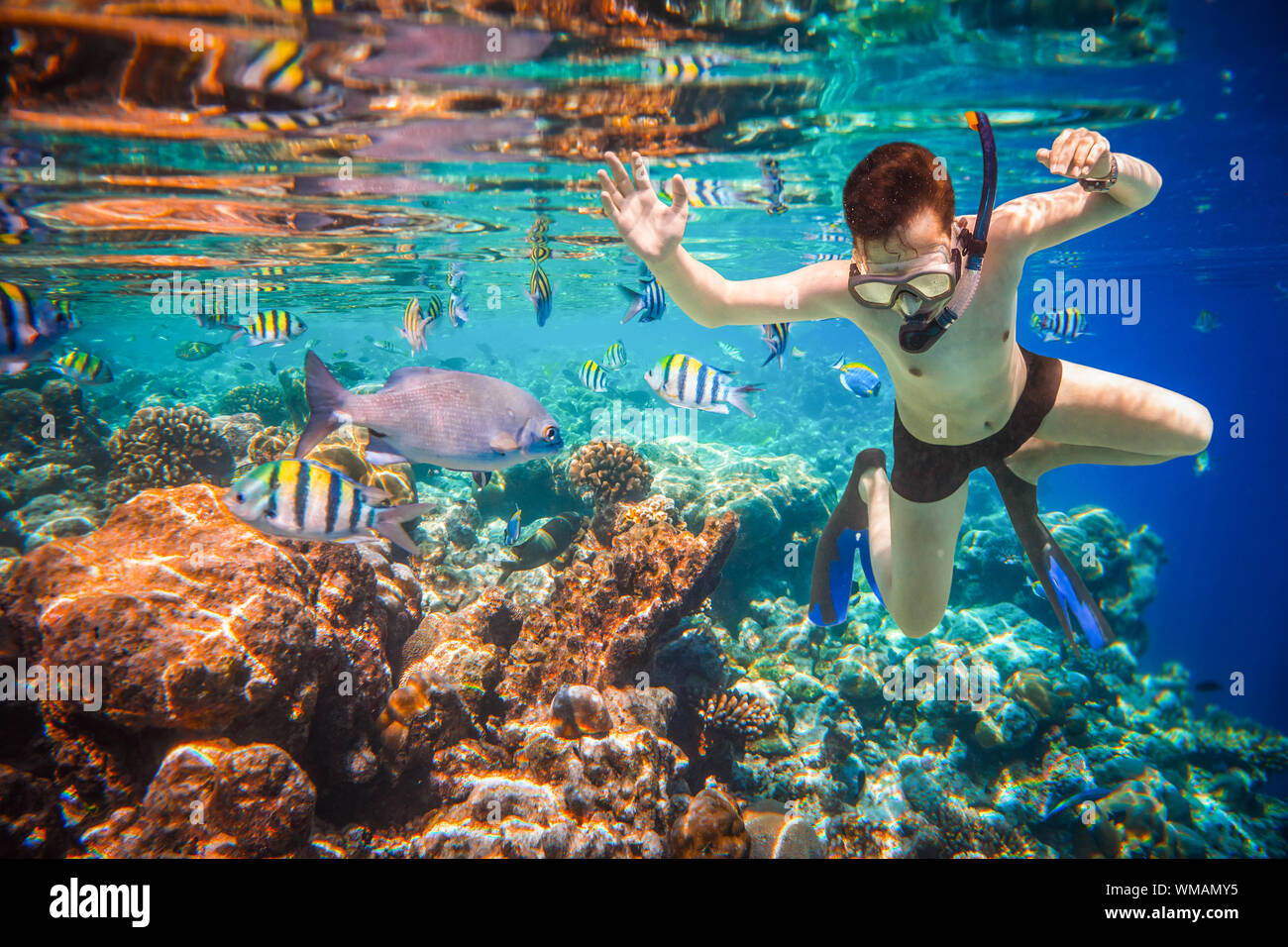 Snorkeler diving along the brain coral. Maldives Indian Ocean coral