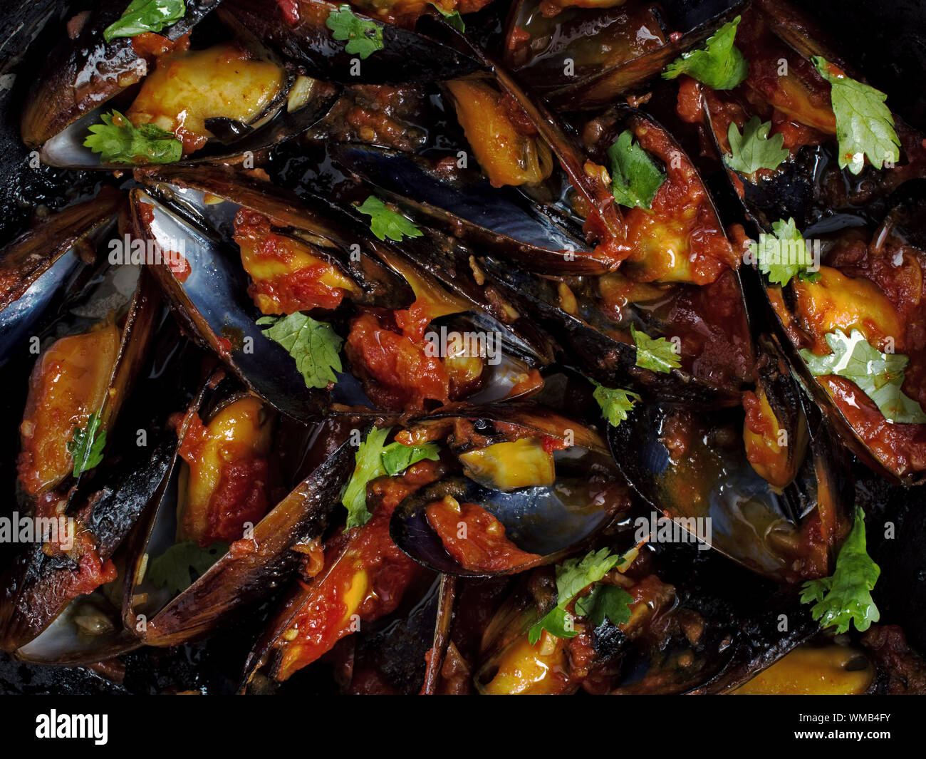 close up of black mussel in tomato sauce food background Stock Photo ...