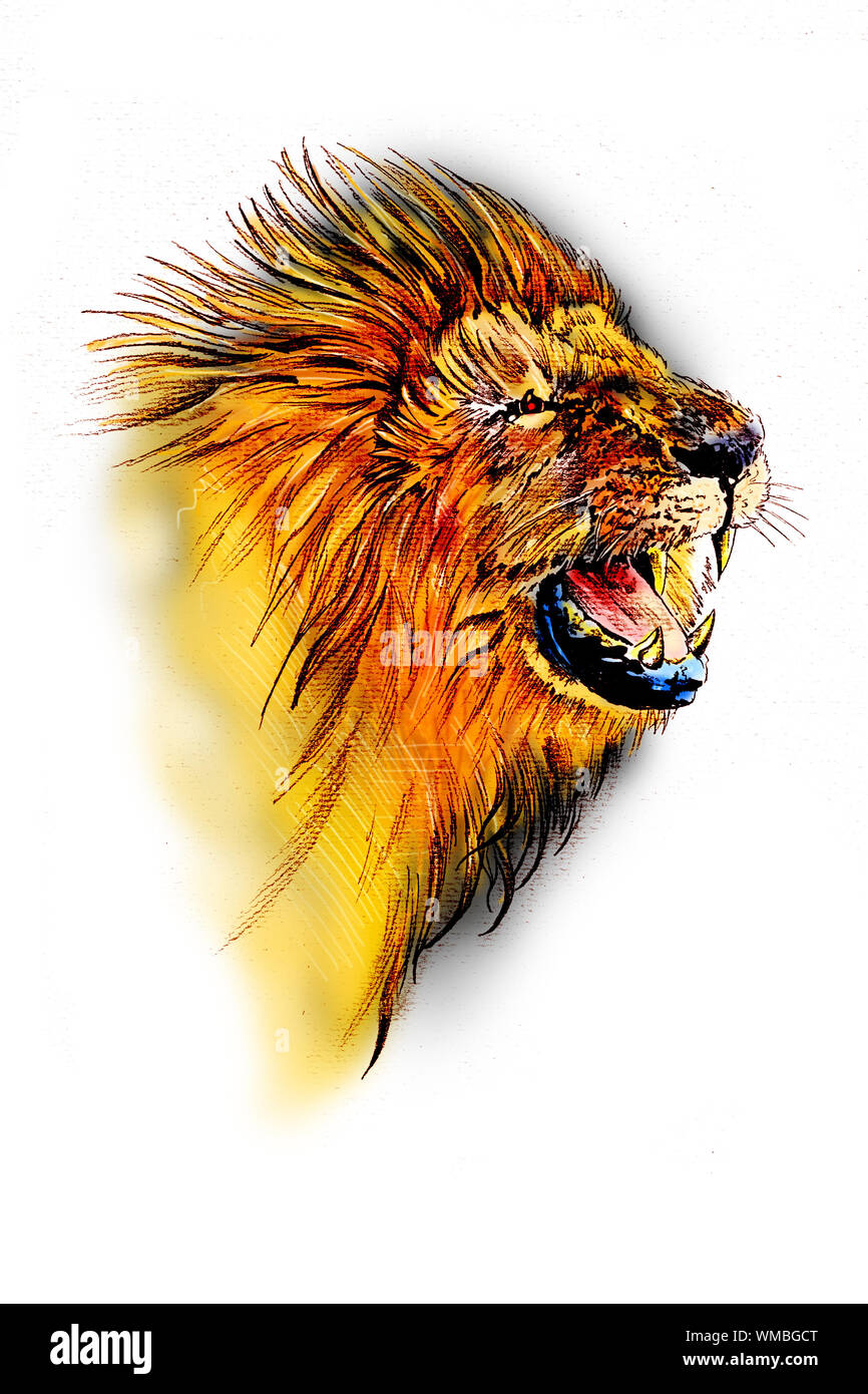 lion art illustration color Stock Photo