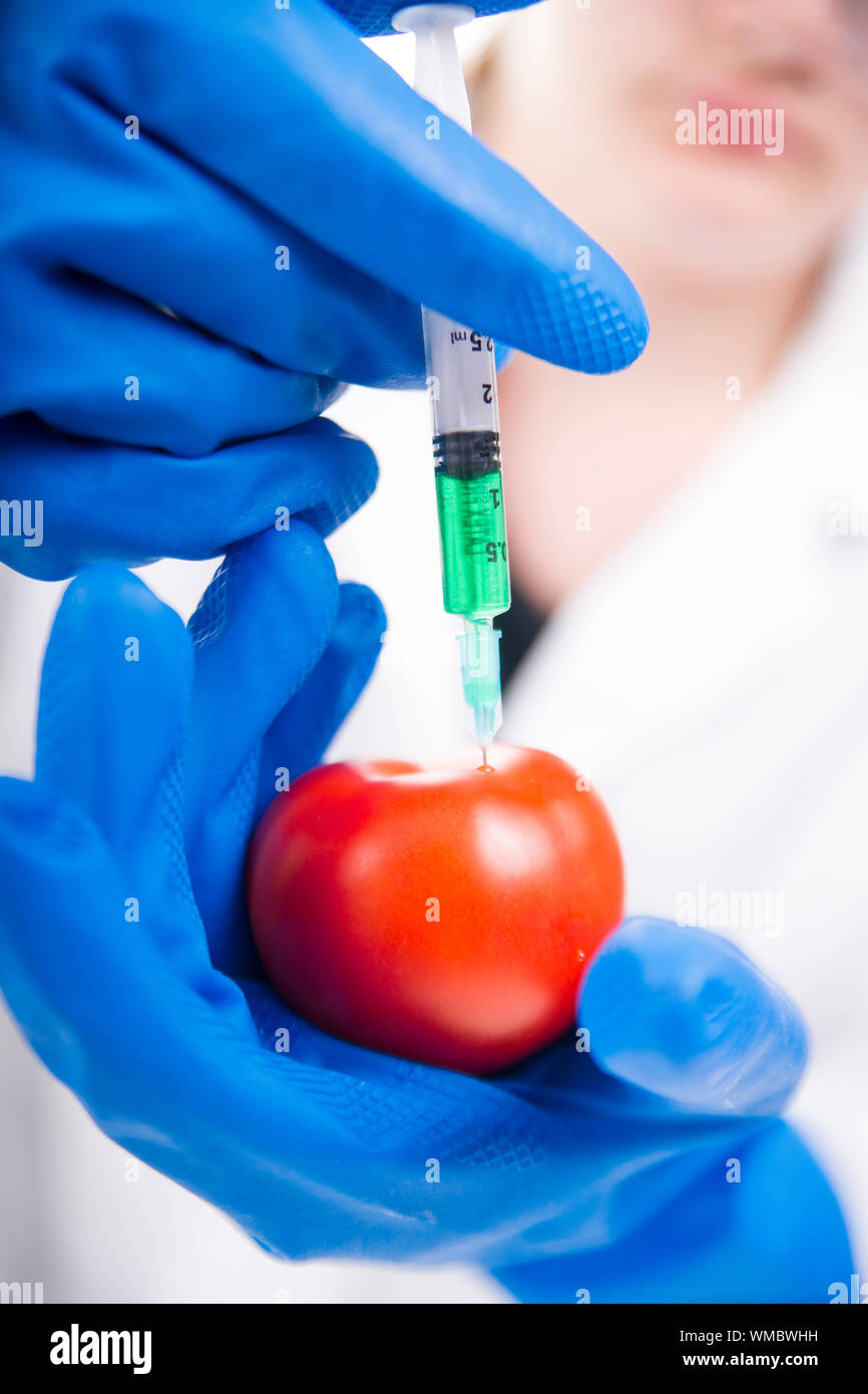 Midsection Of Scientist Injecting Tomato Stock Photo