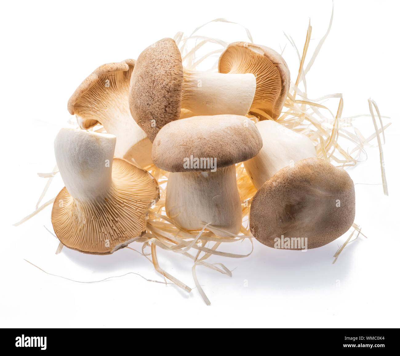 Straw mushrooms isolated on white background Stock Photo - Alamy