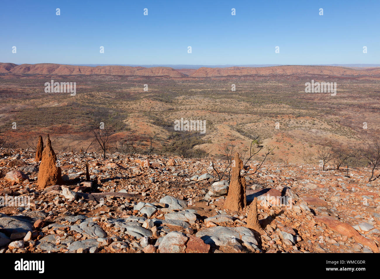 Termite mounds, Larapinta Trail, West McDonnell Ranges, NT, Australia Stock Photo