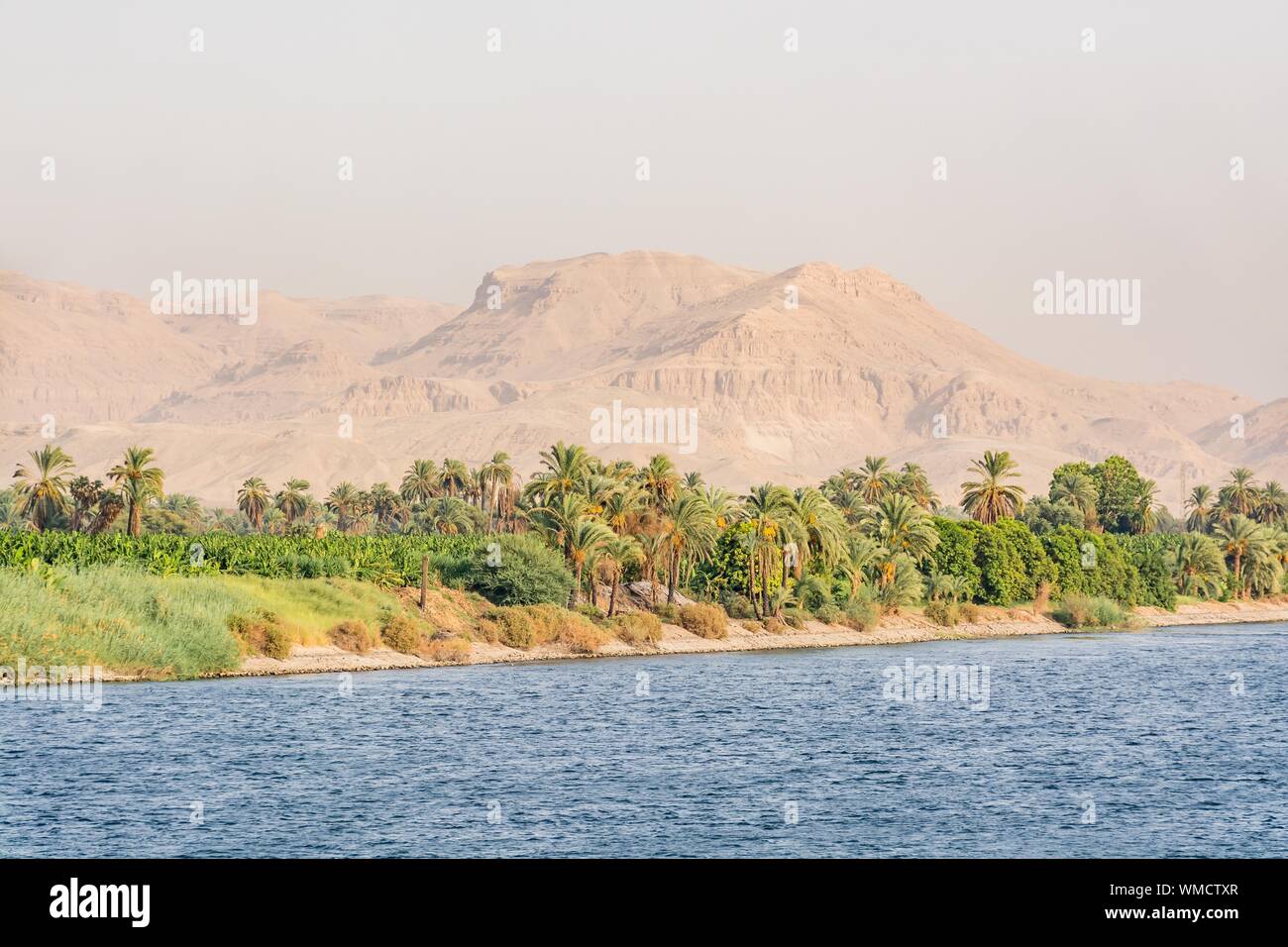 Bank of Nile river seen during touristic cruise, Egypt Stock Photo