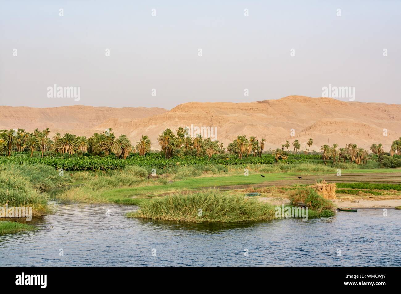 Bank of Nile river seen during touristic cruise, Egypt Stock Photo