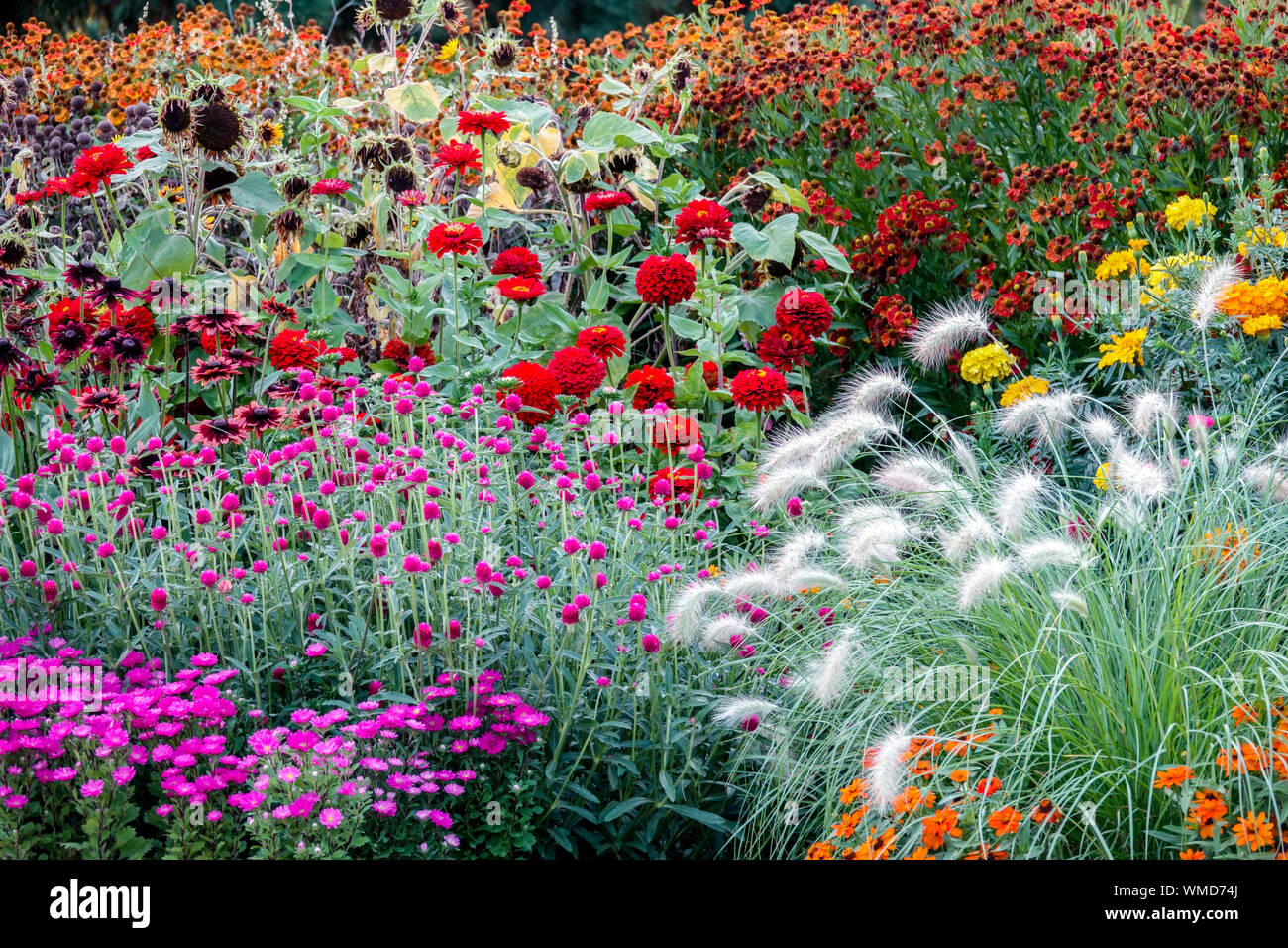 Beautiful flower garden Flowers Perennial Annual Plants Colourful Flower bed Border Cottage Garden Flowerbed August Colorful Mixed Bed Mix Scene Stock Photo